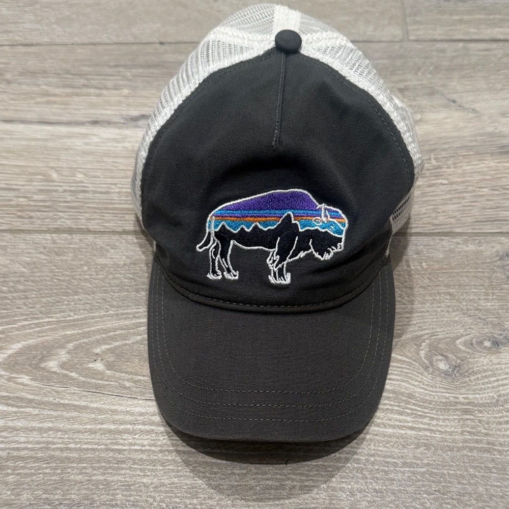 Patagonia Fitz Roy Buffalo Trucker Hat